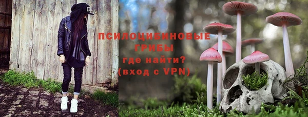 твердый Каменногорск