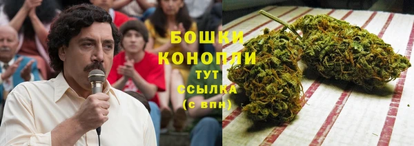 твердый Каменногорск