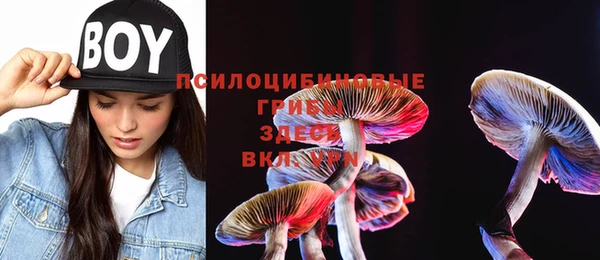 твердый Каменногорск