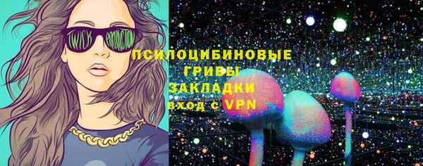 a pvp Каменка